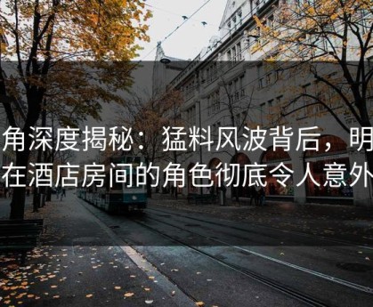 海角深度揭秘：猛料风波背后，明星在酒店房间的角色彻底令人意外