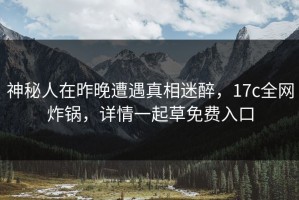 神秘人在昨晚遭遇真相迷醉，17c全网炸锅，详情一起草免费入口