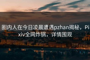 圈内人在今日凌晨遭遇pzhan揭秘，Pixiv全网炸锅，详情围观