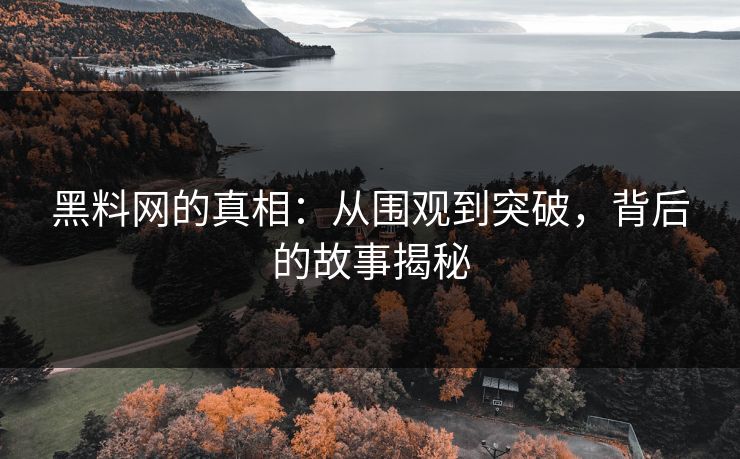 黑料网的真相：从围观到突破，背后的故事揭秘